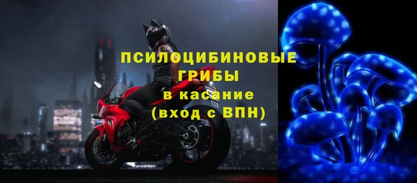 марки nbome Вяземский