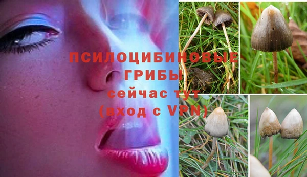 соль ск Вязники