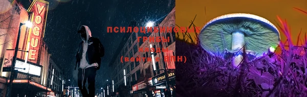 ECSTASY Вязьма