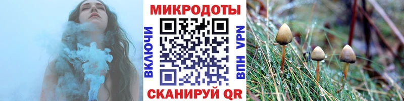Псилоцибиновые грибы GOLDEN TEACHER  Тамбов 